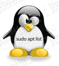 apt list installed packages