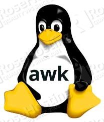 awk command example