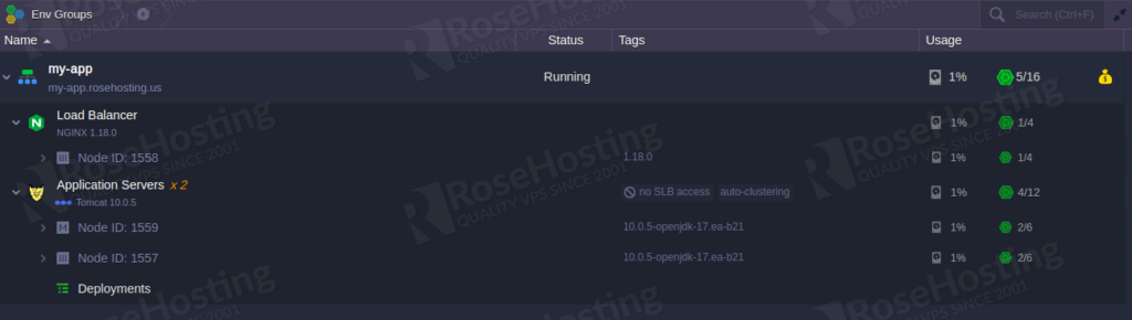 cloud paas environment set up rosehosting