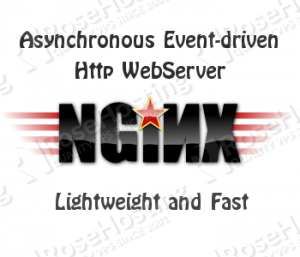 Speed-up NGINX using ngx_pagespeed in CentOS 6 VPS